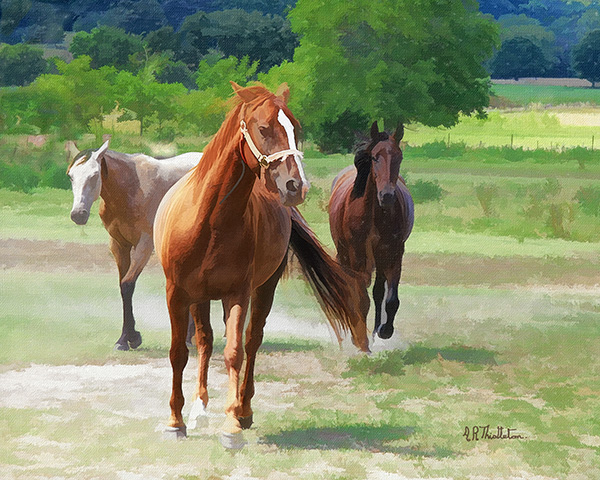 Three-Horses
